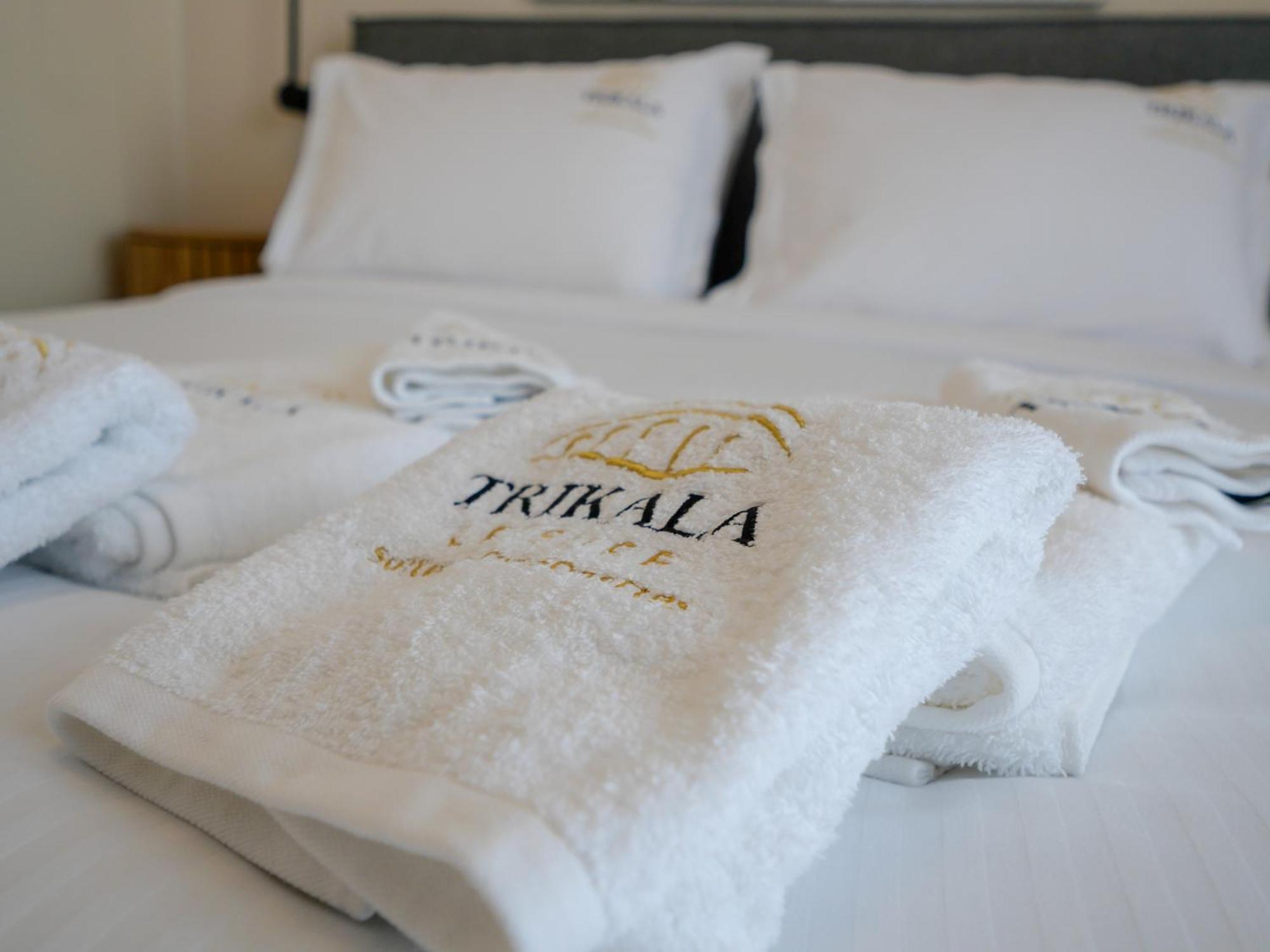 Deluxe Apartment Τρίκαλα Εξωτερικό φωτογραφία