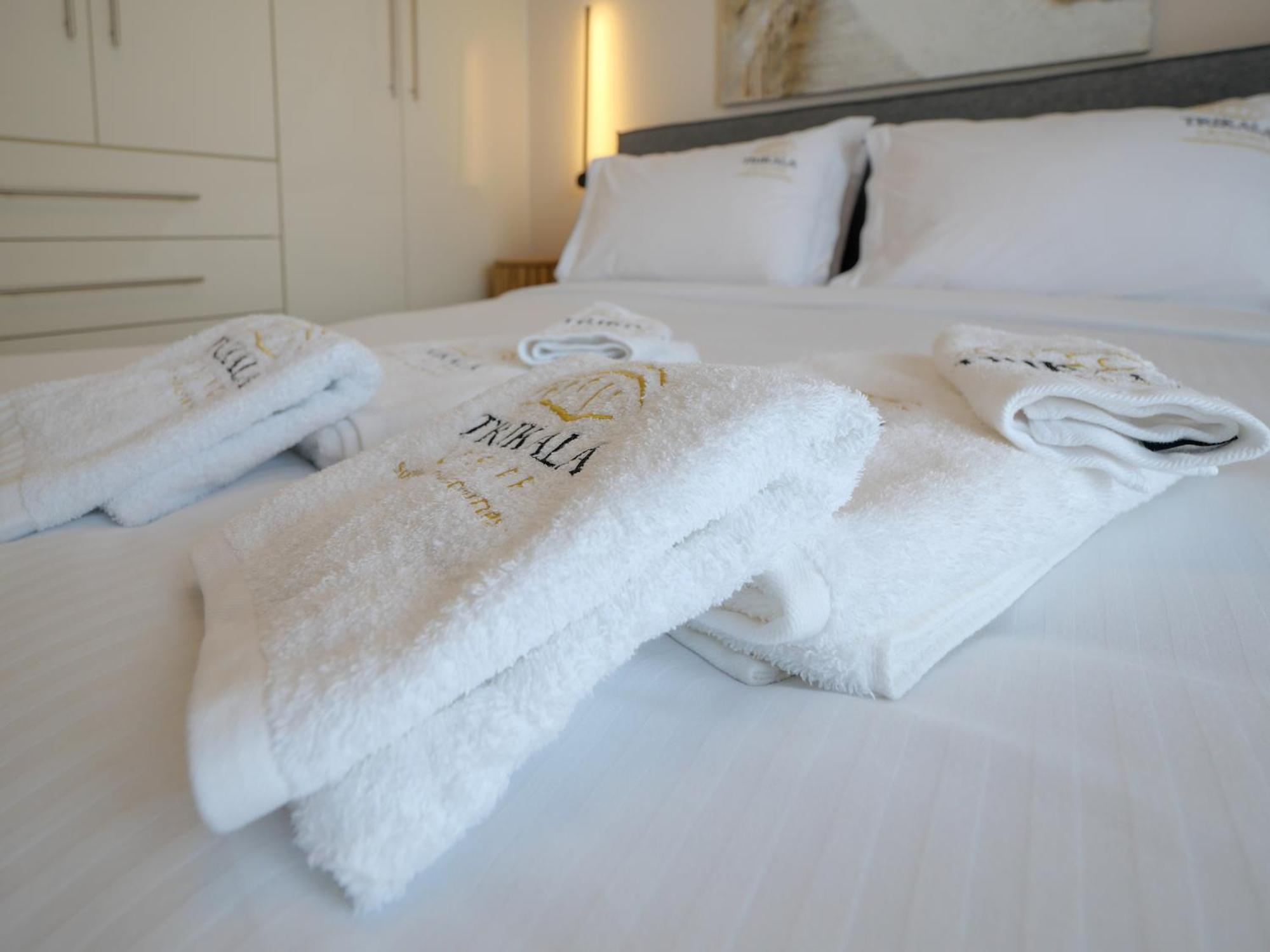 Deluxe Apartment Τρίκαλα Εξωτερικό φωτογραφία